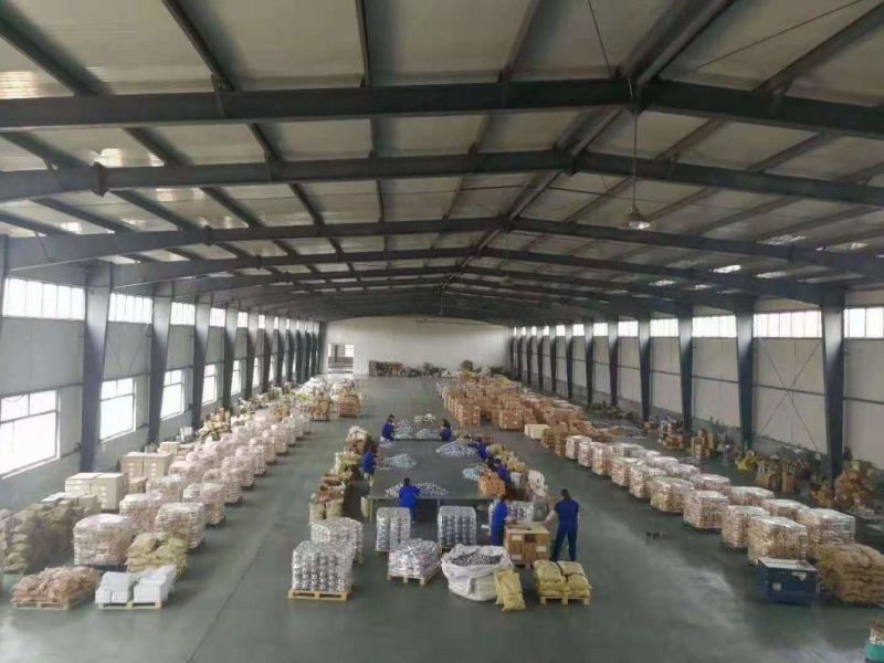 Transport Chain Lashing Chain Alloy Steel Link Chain with Grab Hook