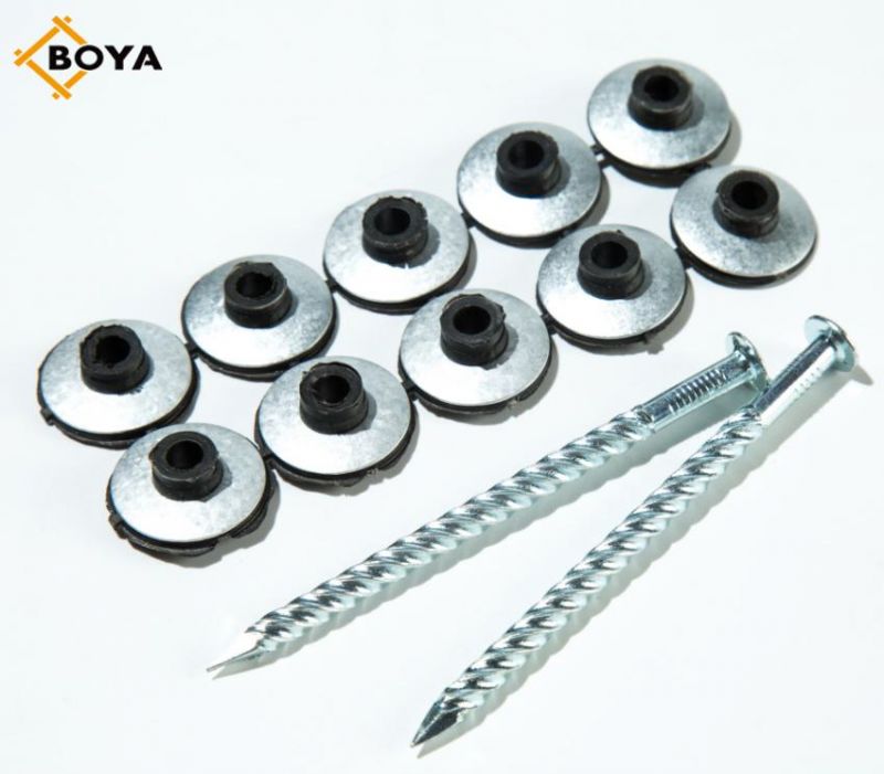 Galvanized Assembled Roofing Screw Nails with Washer