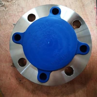 AISI304 &amp; AISI316L Sanitary Stainless Steel Plate Flange