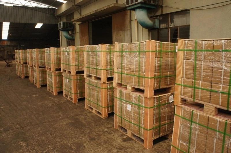 High Quality Spring Steel Cage Nut M6 in Stock