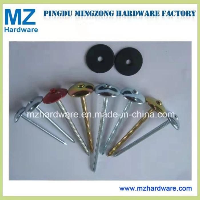 Sprayed Baked Paint Umbrella Head Roofing Nails