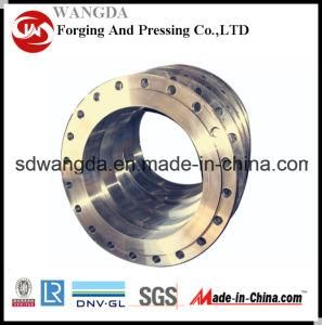 Professional High Quality Flange /Carbon Steel/Stainless Steel Flanges