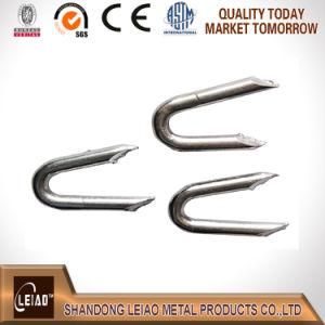 Galvanized U Type Nail, U Shape Nail