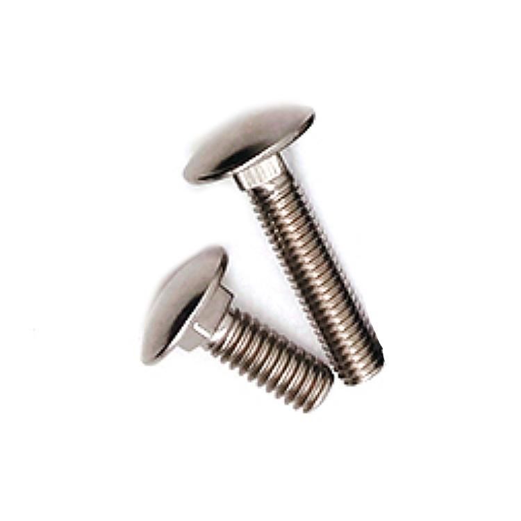 1/2-in-13 X 8-in 316 Stainless Steel Mushroom Head Carriage Bolt