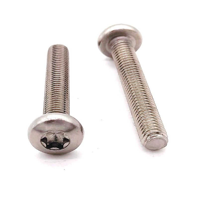 Stainless Steel Torx Head Security Screws