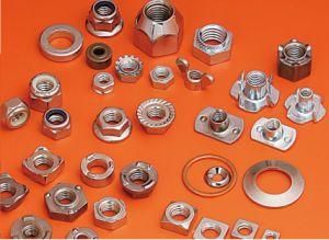 Stainless Steel Nuts (ssnut01)