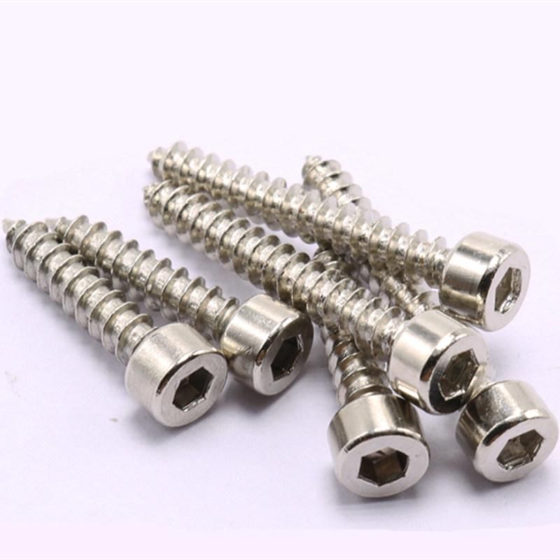 Stainless Steel Allen Head Self Tapping Screw