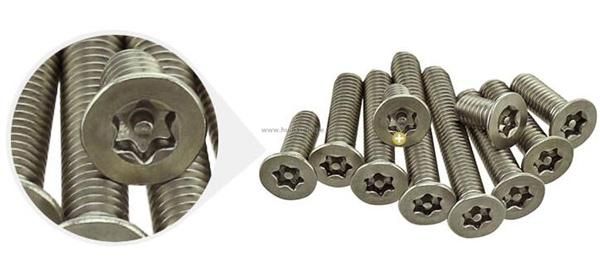 Torx Csk Head Security Machine Screw with Pin