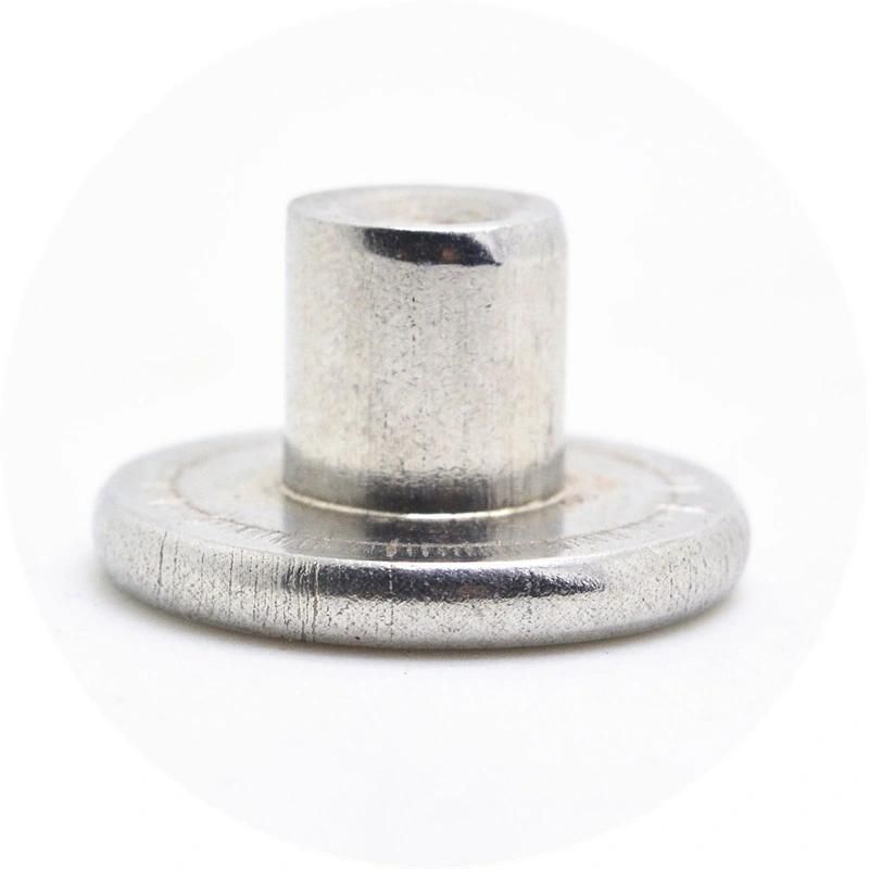 Stainless Steel Flat Head Solid Rivets