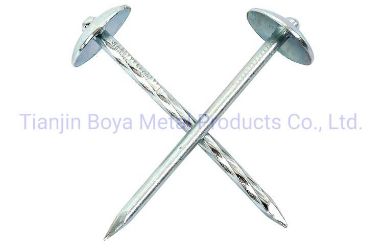Factory Price Galvanized Umbrealla Head Roofing Nails