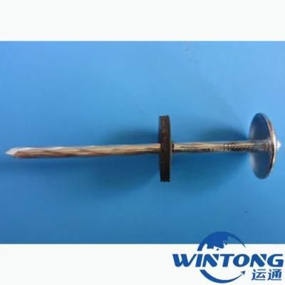 Roofing Nail/Umbrella Cap Nail/Threaded Nail/Galvanized Roofing Nails