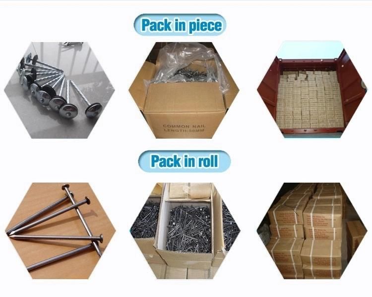 Common Round Iron Wire Nail