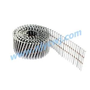 Galvanized Plain Common Steel Coil Nails