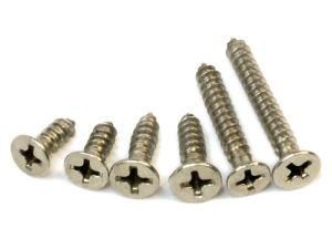Auto Parts Hardwear Stainless Steel Screw