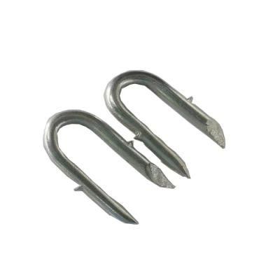 Good Fixity Staple/Barbed Shank Staple/Galvanized Staple/U Type Nail