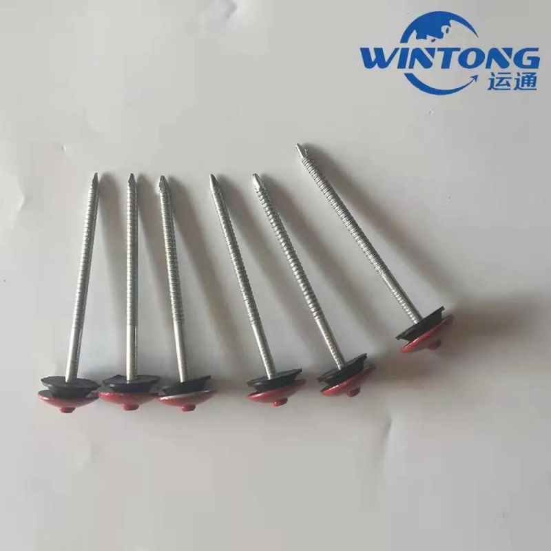 Hemp Pole Corrugated Nail, Galvanized Roofing Nail Production, Corrugated Nail for Umbrella Tip