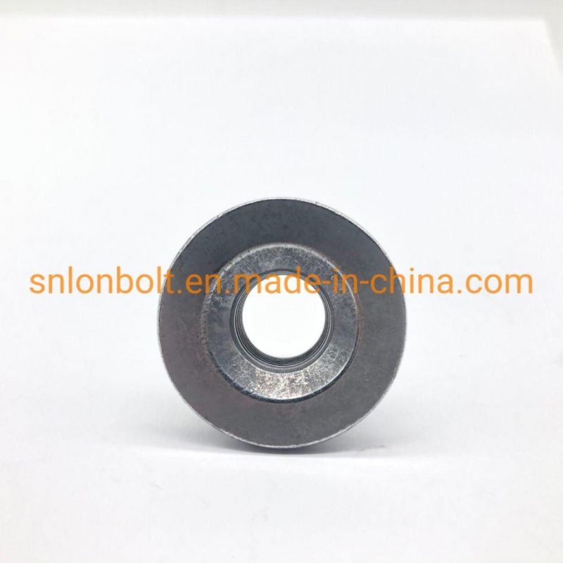 Flange Nut M14 Zini for Assembly Hex Nut Flanged