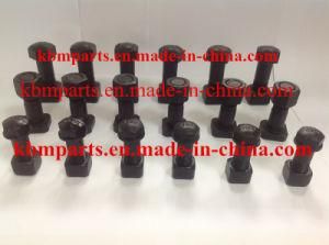 Stud/Bolt/Nut/Track Shoe Bolt/Segment Bolt/Plow Bolt/Sprocket Bolt