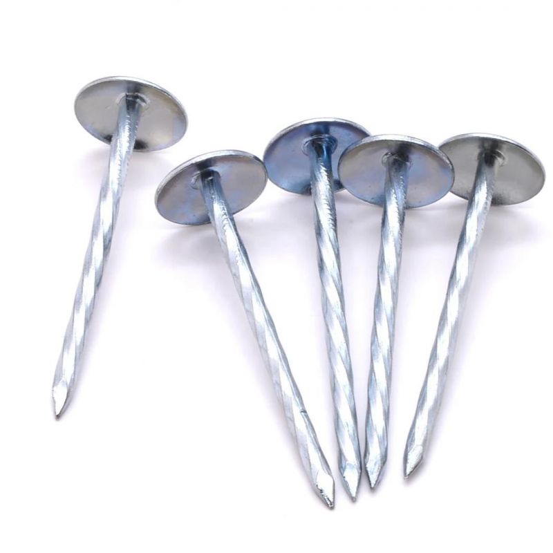 South Africaangola Zambia Namibia Market/Umbrella Head Roofing Twist Nails Galvanize Umbrella Head Roofing Nails