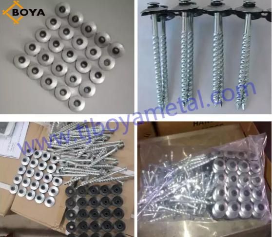 Galvanized Assemle Roofing Nail/Umbrella Nail/Pallet Nail/Iron Nail/Hardware/Building Nail