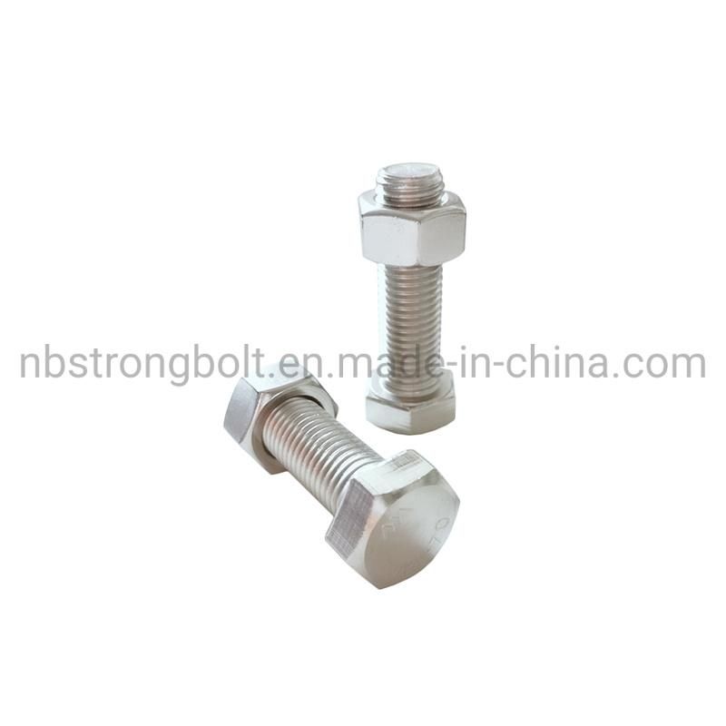 Stainless Steel SS316 Hex Bolt Nut