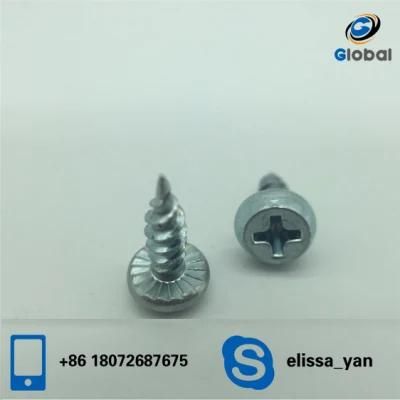 DIN7981 High Quality Pan Frame Head Self Tapping Screw