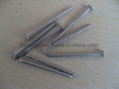 6D (2&quot;) Hot Dipped Galvanized Box Nails
