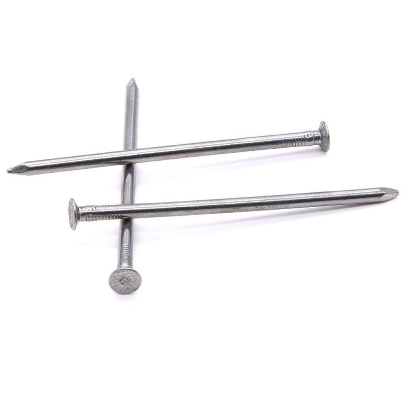 Angola Ethiopia Market/Construction Electro Galvanized Common Wood Wire Nails Nail