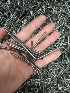 Common Nail Factory Iron Wire Nail