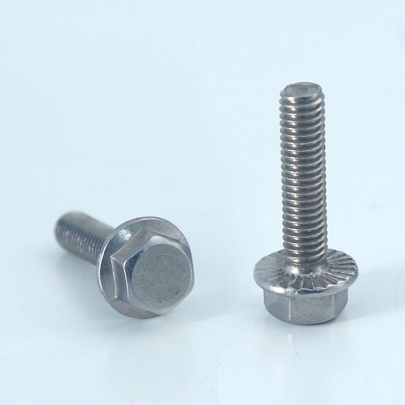 M4 M6 M7 M8 M10 M19 M21 Stainless Steel DIN 6921 Hex Flange Head Bolt