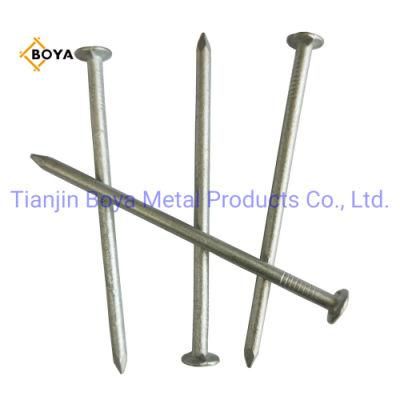 Factory Direct Sale Hardware Hot Dipped Glavanized Common Nail for Building and Construction