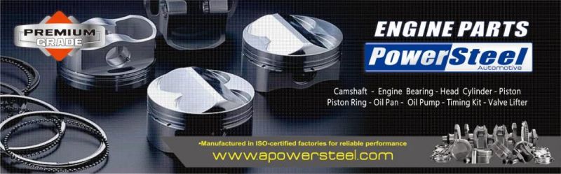 Engine Gasket