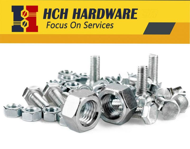 High Quality 304 Stainless Steel M4 M6 M8 Cage Nuts