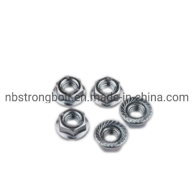 Hex Nut with HDG