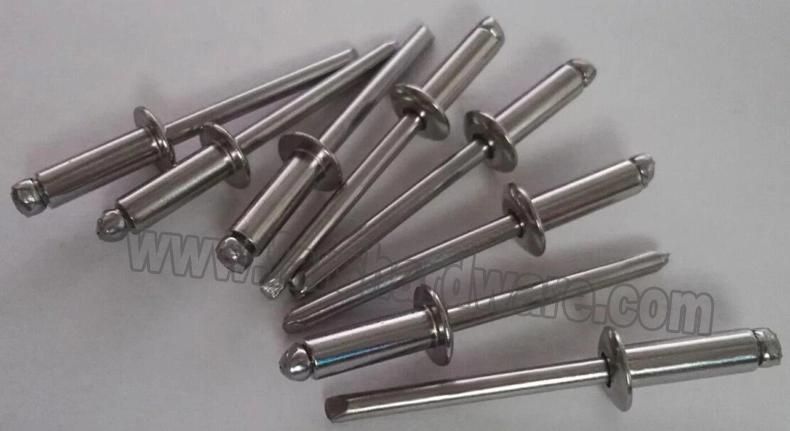Blind Rivet Stainless Steel Open Type Dome Head