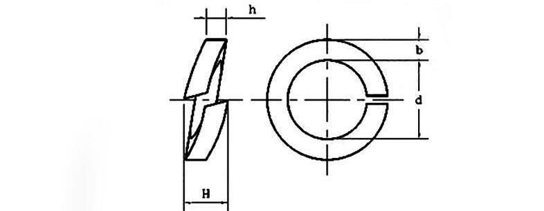 Brass /Stainless Steel 201/304/316/Zinc Plated/Black Oxide Spring Washer