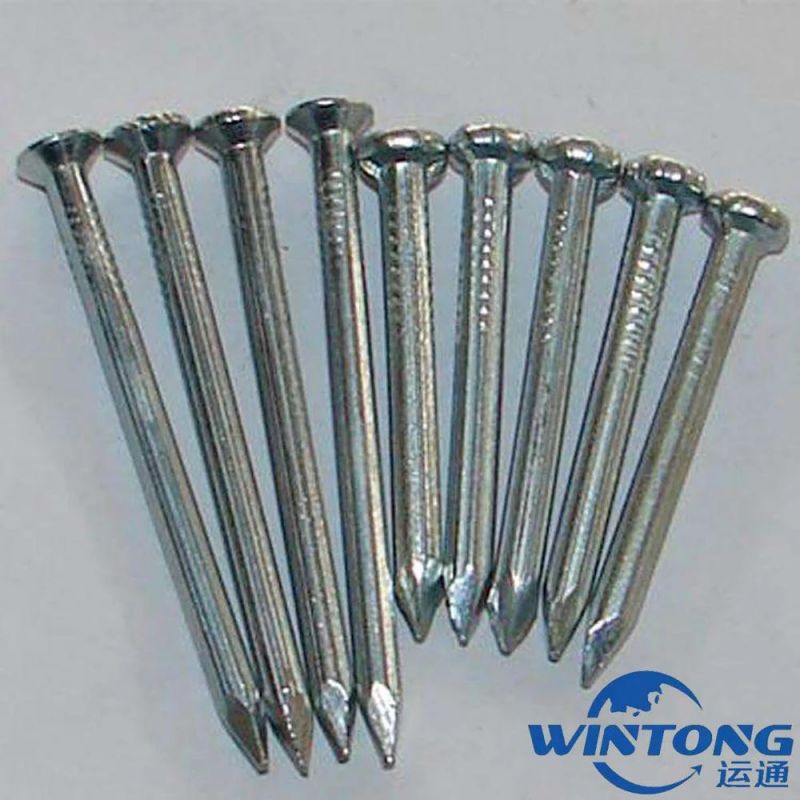 Twill Concrete Nails/Concrete Nail