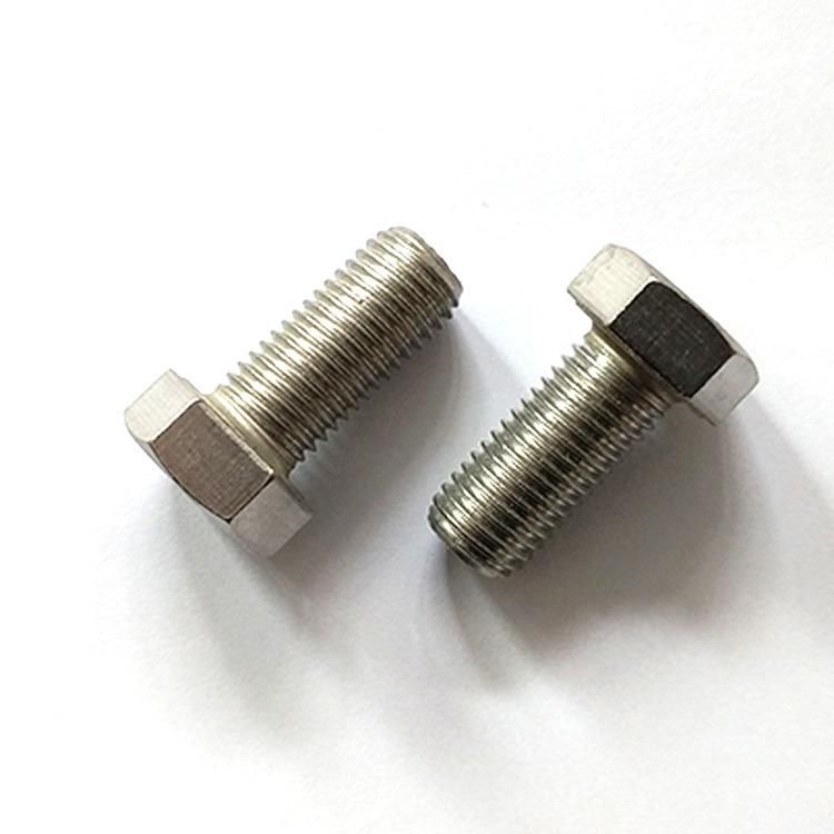 Stainless Steel DIN933 Hex Bolt with DIN934 Hex Nut