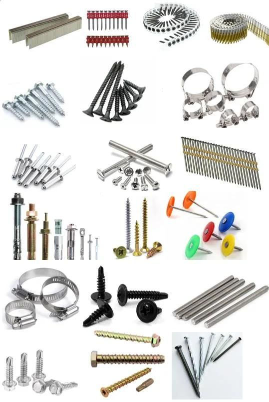 Best Quality Low Price C1022A Zinc Plated Fine Thread Twinf Ast Collated Drywall Screw
