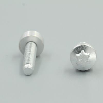 China Truck Car Fixing Center Screw Bolt 6 Point Driver