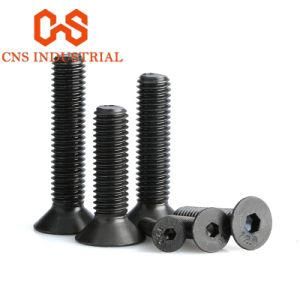 Black Oxided Steel Hexagon Socket Bolts Nuts for Furniture Hardware Part