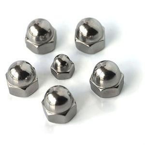 Stainless Steel Hex Domed Cap Nut