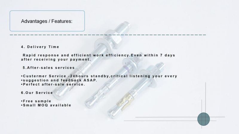 Made in China 4.8 Grade High Quality Wedge Anchor