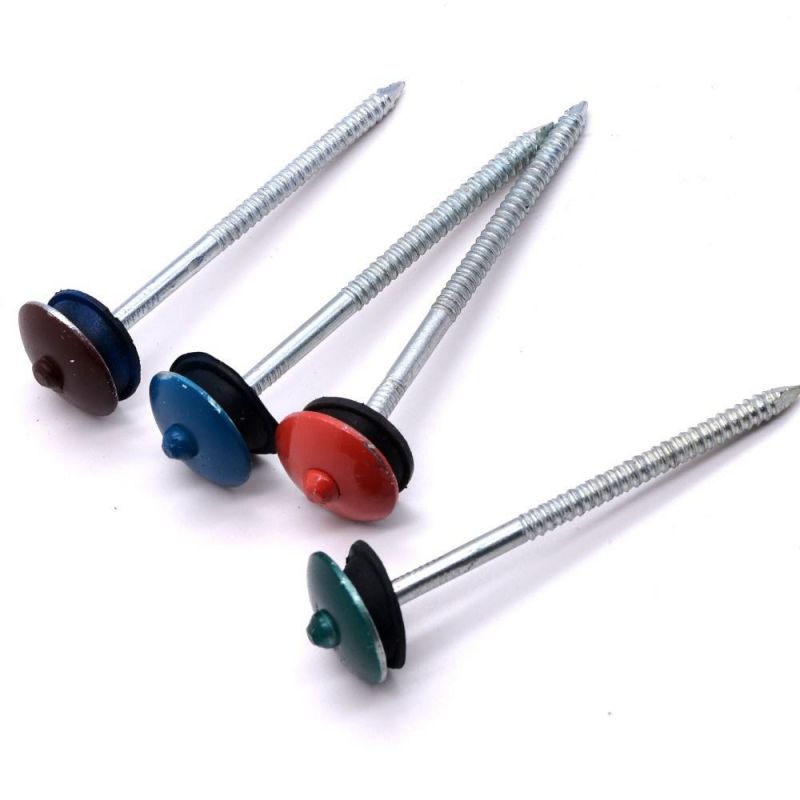 South Africa Nigeria Angola Zambia / Markethigh Quality Durable Galvanized Umbrella Head Roofing Nails