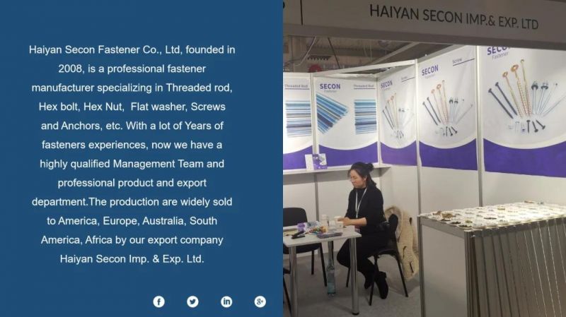 China Factory Self Drilling Screw/Drywall Tapping Screw/Chipboard Screw/Wood Screw/Roofing Screw/Machine Screw/Tornillo/Stainless Steel Screw/Hex Bolt/Hex Nut