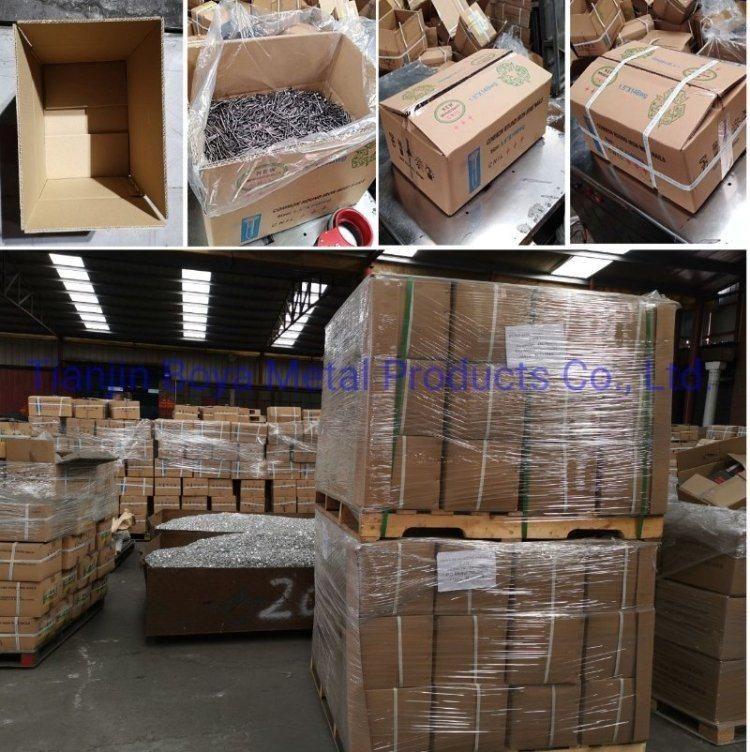 Common Nail/Polished Nail/Building Nail/Common Round Head/Iron Nail/Wire Nail/Hardware