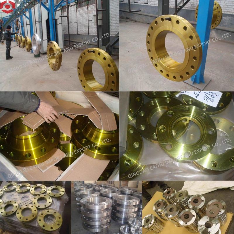 Forged Stainless Steel Flange/Carbon Steel Flange According to ANSI B16.5 DIN En1092-2 GOST Standard