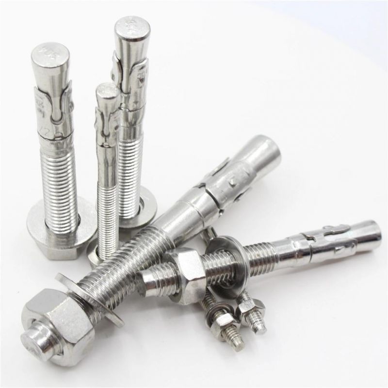 Rts Earth Anchor Stainless Steel SS304 Wedge Hex Bolt Anchors Bolts Manufacturer Wedge Anchor Bolt and Nut