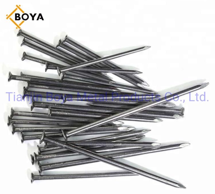 Best Quality Common Nails/Galvanized Nail/Building Nail/Hardware Iron Nail