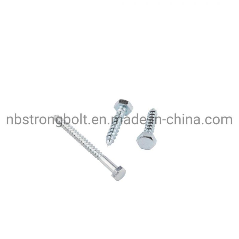 Hex Lag Screw with Zinc